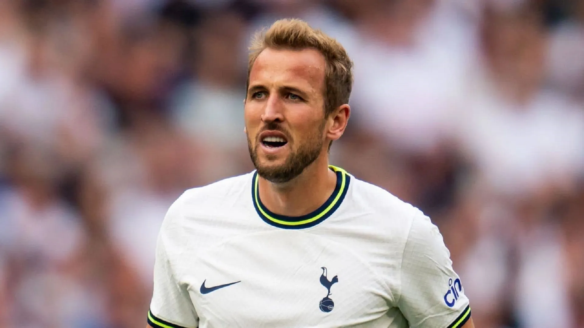 Petunjuk transfer Harry Kane? Jimat Tottenham membangun rumah besar hanya 15 mil dari tempat latihan Chelsea